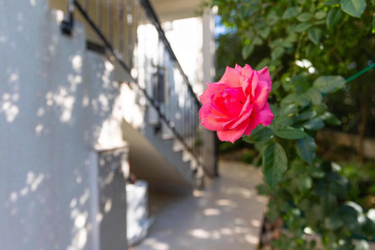 Apartments Lustica Radovici Εξωτερικό φωτογραφία